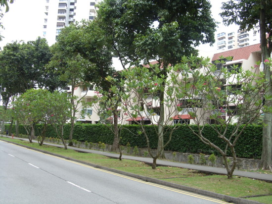 Chuan Park (D19), Condominium - For Rent