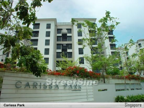 Carissa Park Condominium (D17), Condominium - For Rent