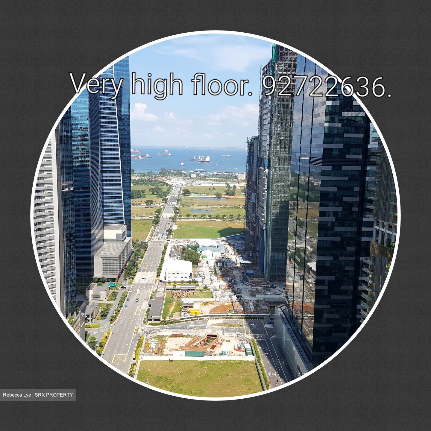 Robinson Suites (D1), Apartment - For Rent