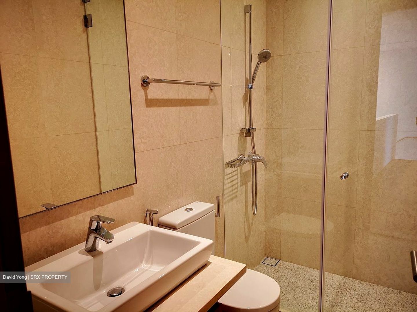 Skyline @ Orchard Boulevard (D9), Apartment - For Rent