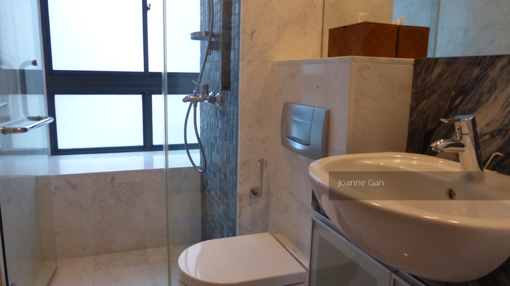 Rhapsody On Mount Elizabeth (D9), Apartment - For Rent