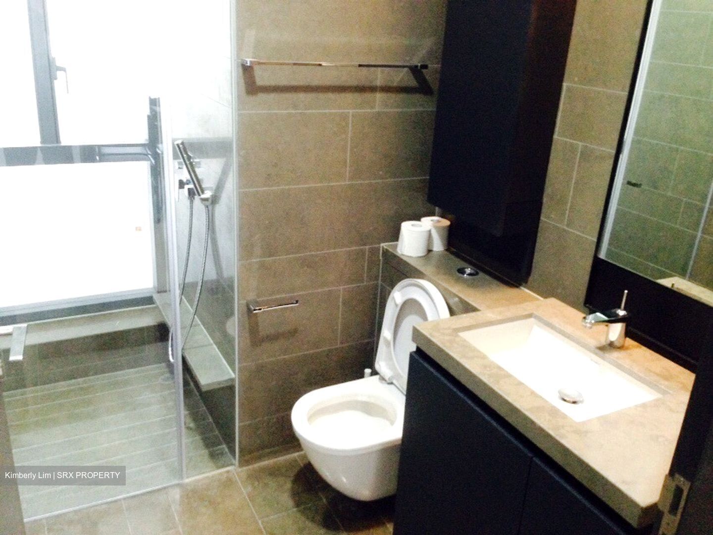 Skysuites@Anson (D2), Apartment - For Rent