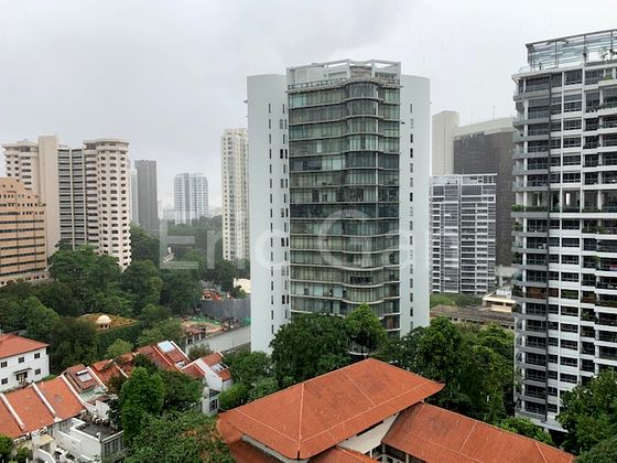 2 Bed Condo for Rent in The Peak @ Cairnhill II