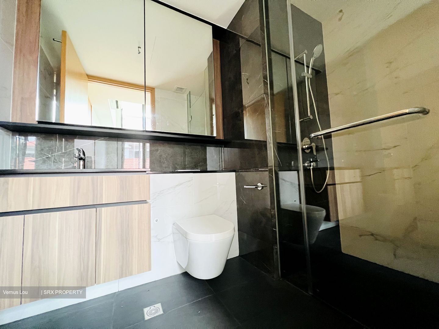 The Verandah Residences (D5), Apartment - For Rent