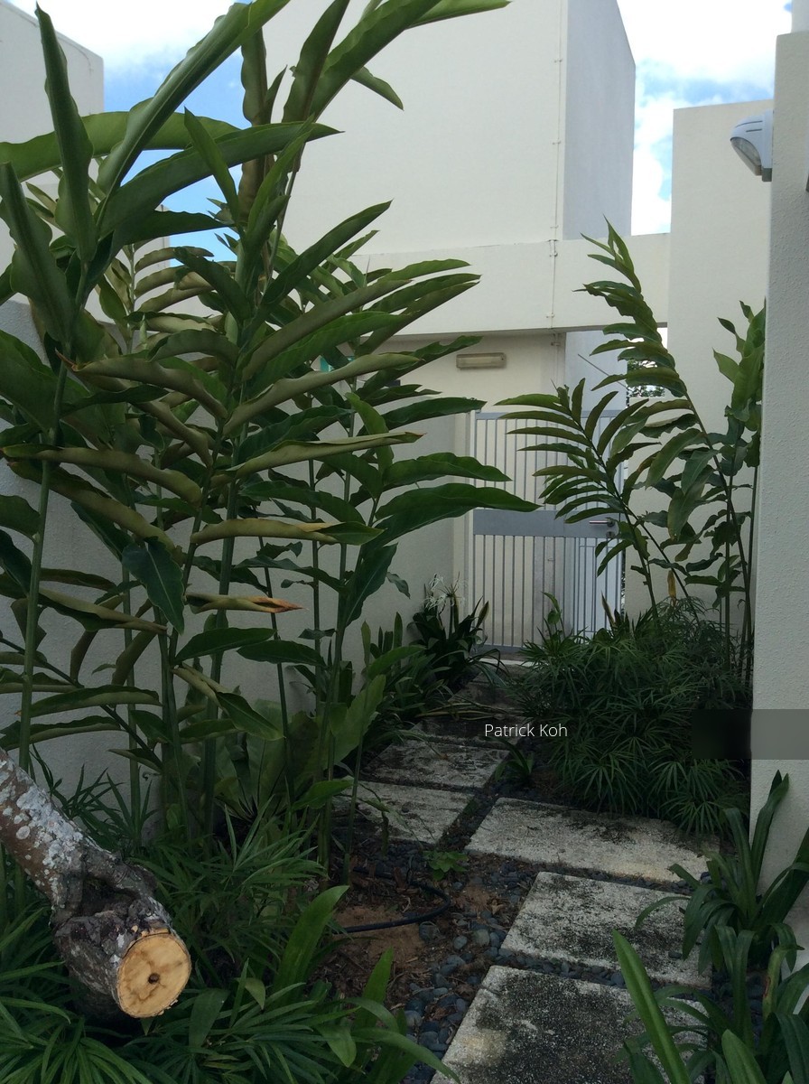 Glentrees (D10), Condominium - For Rent