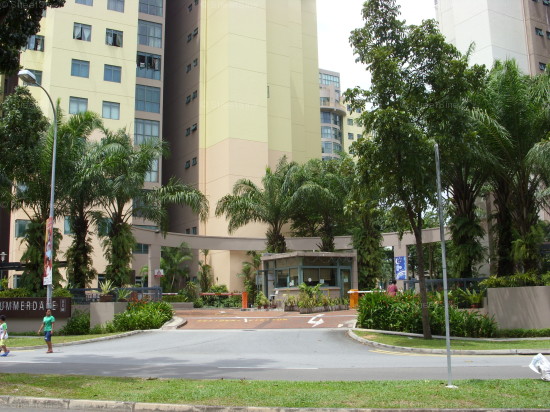 Summerdale (D22), Condominium - For Rent