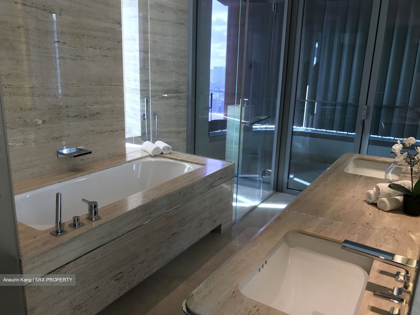 Ardmore Residence (D10), Condominium - For Rent