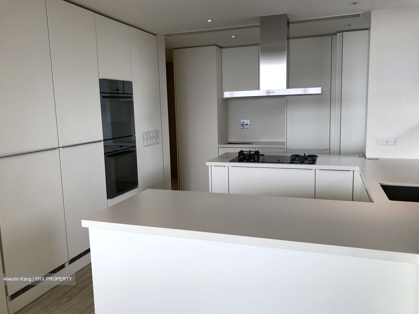 Ardmore Residence (D10), Condominium - For Rent