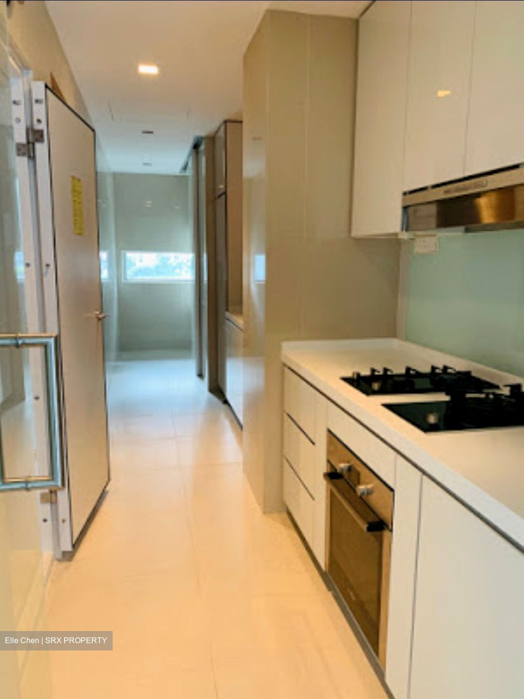 Skyline @ Orchard Boulevard (D9), Apartment - For Rent