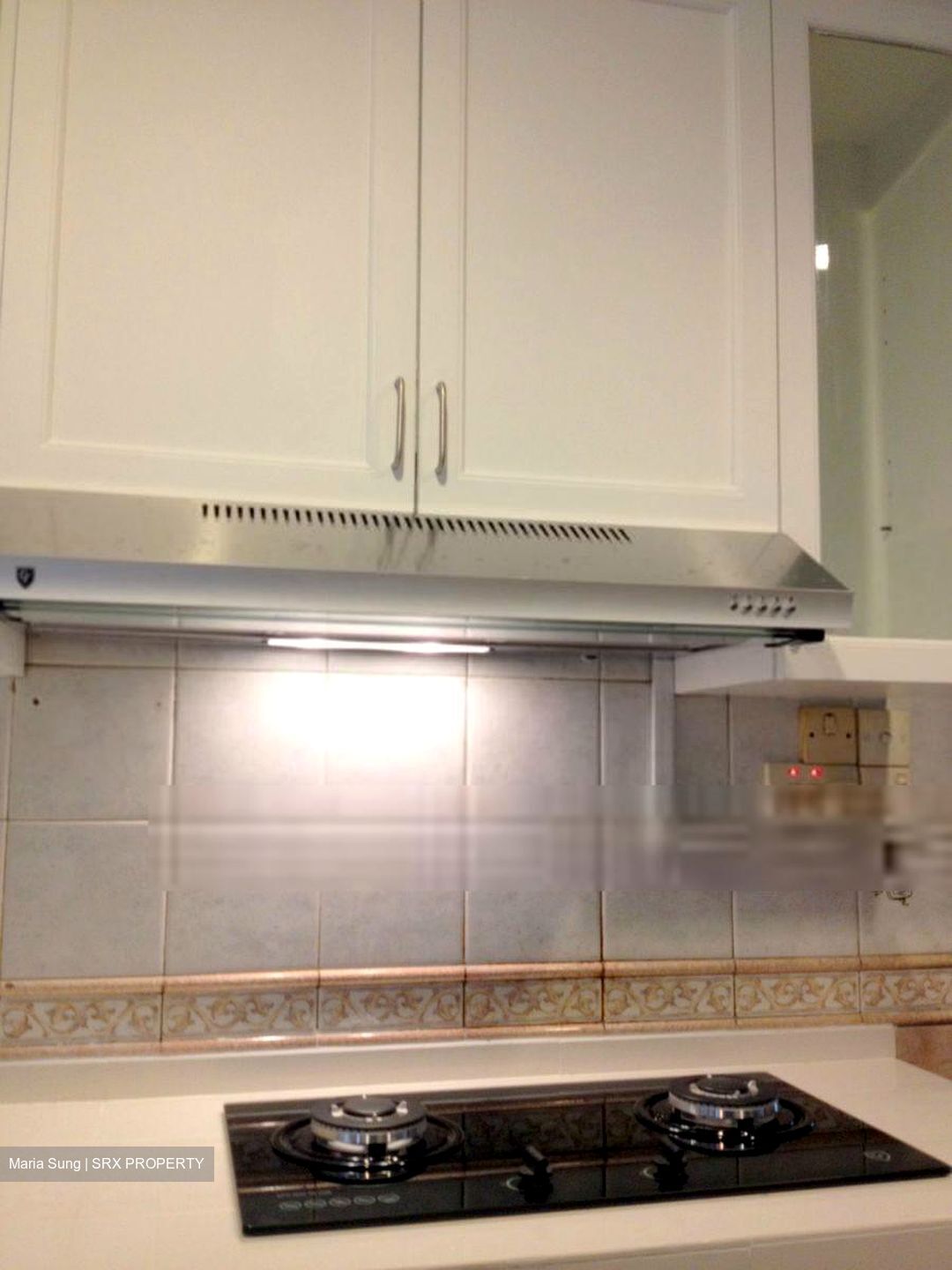 Parc Vista (D22), Condominium - For Rent