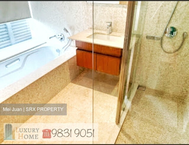 Skyline Residences (D4), Condominium - For Rent