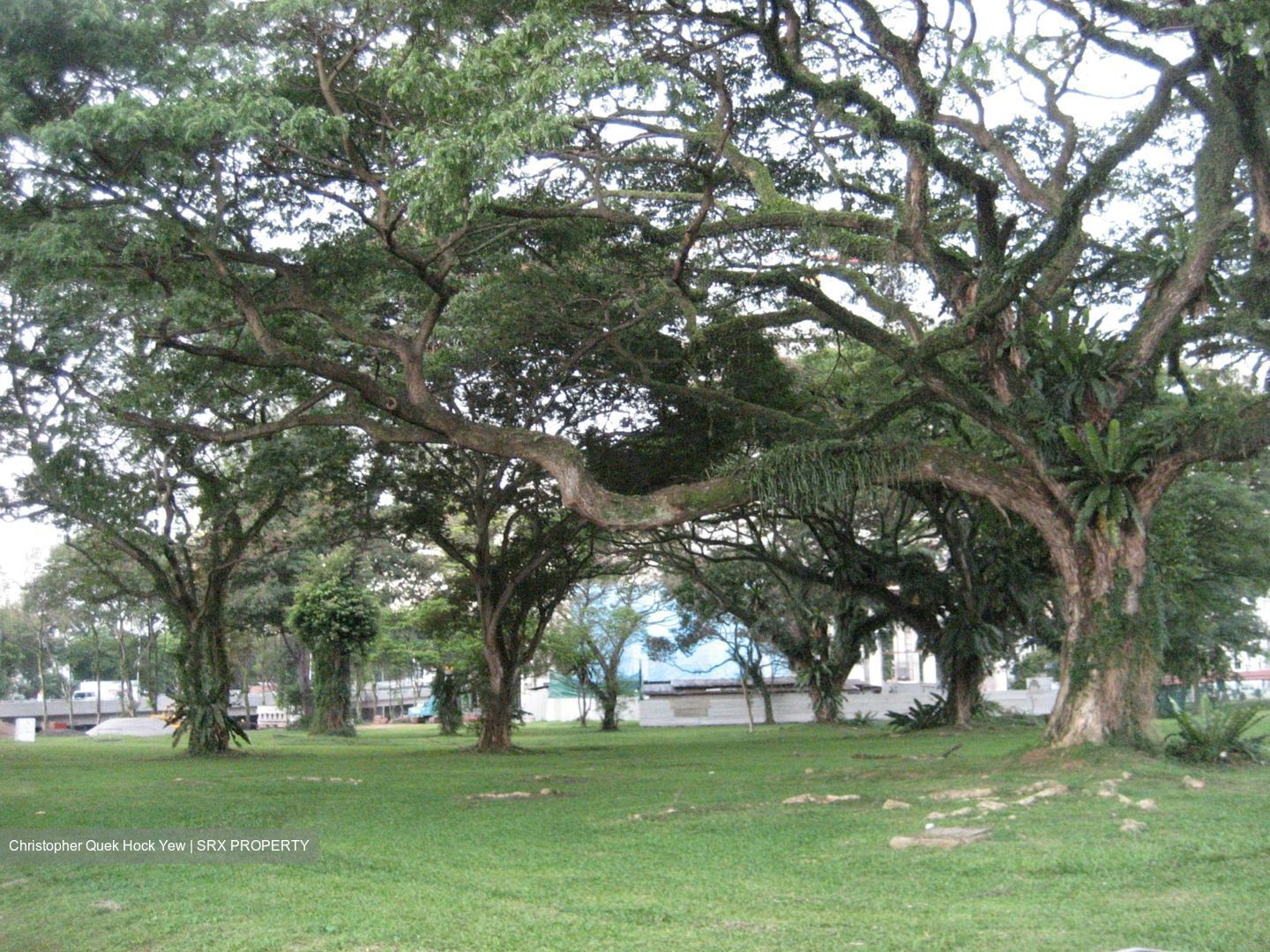 La Nouvelle (D11), Apartment - For Rent