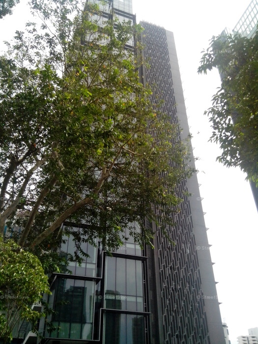 The Marq On Paterson Hill (D9), Condominium - For Rent