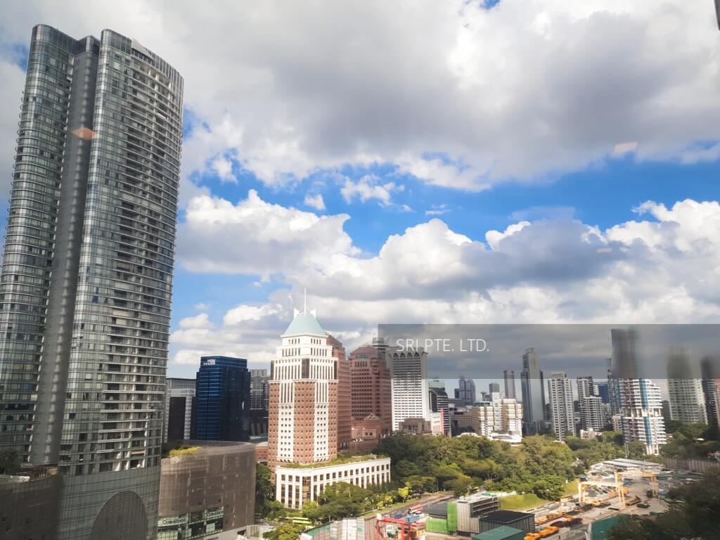 Skyline @ Orchard Boulevard (D9), Apartment - For Rent