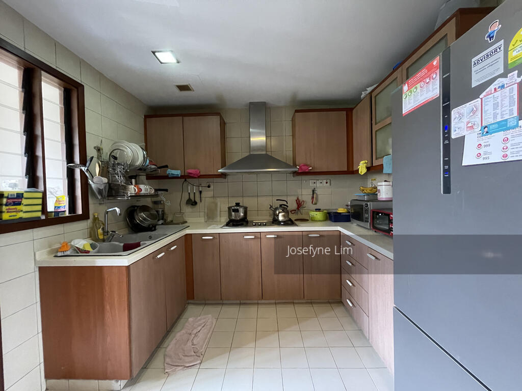 Carissa Park Condominium (D17), Condominium - For Rent