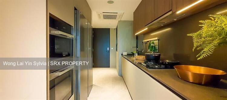 Irwell Hill Residences (D9), Apartment - For Sale