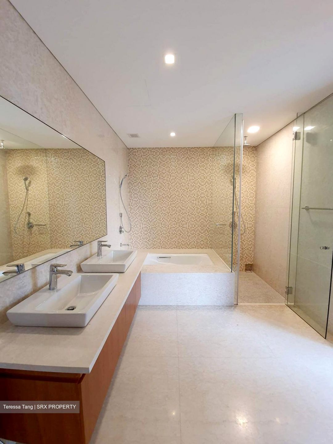 Skyline @ Orchard Boulevard (D9), Apartment - For Rent
