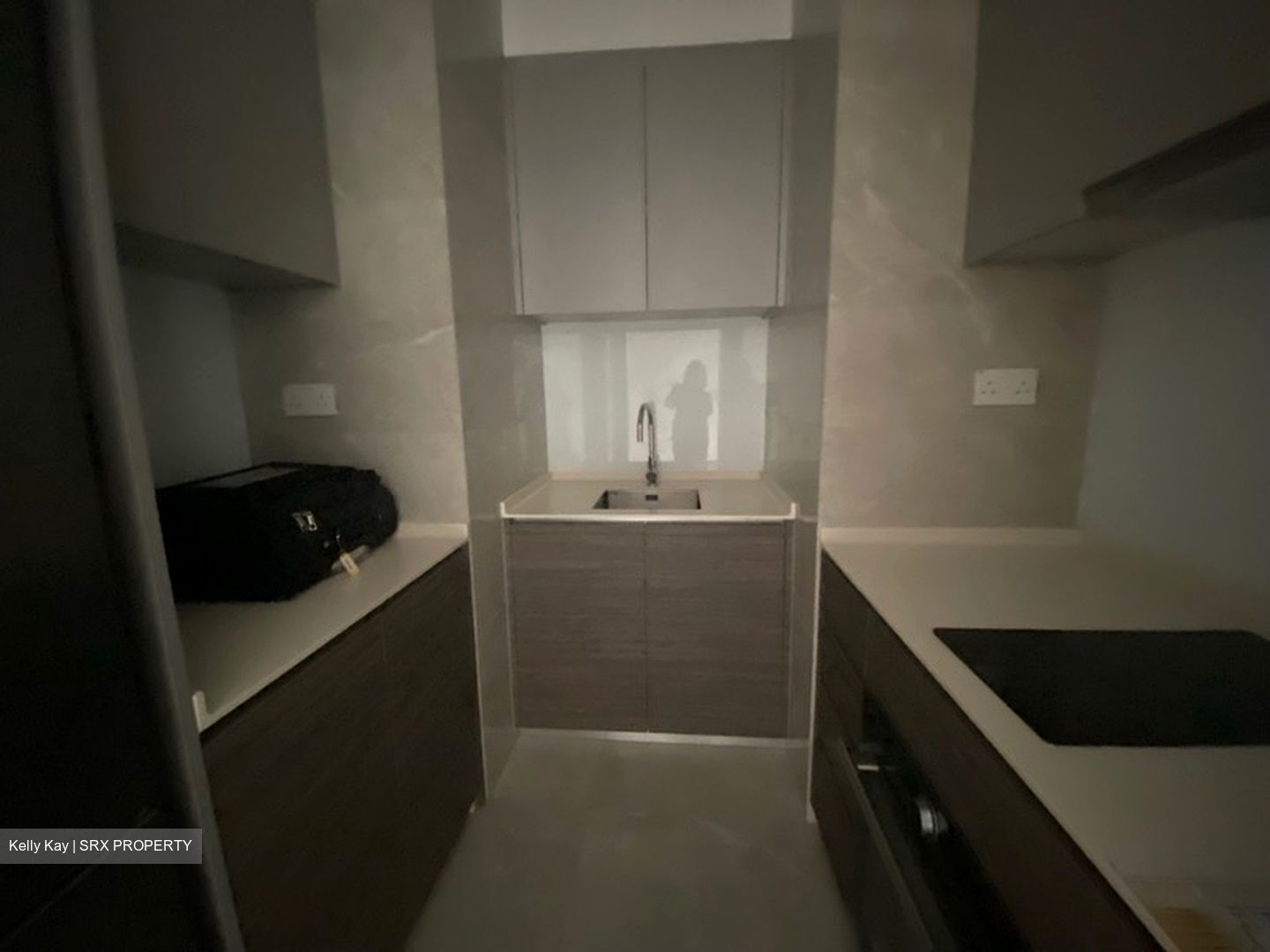Stirling Residences (D3), Apartment - For Rent