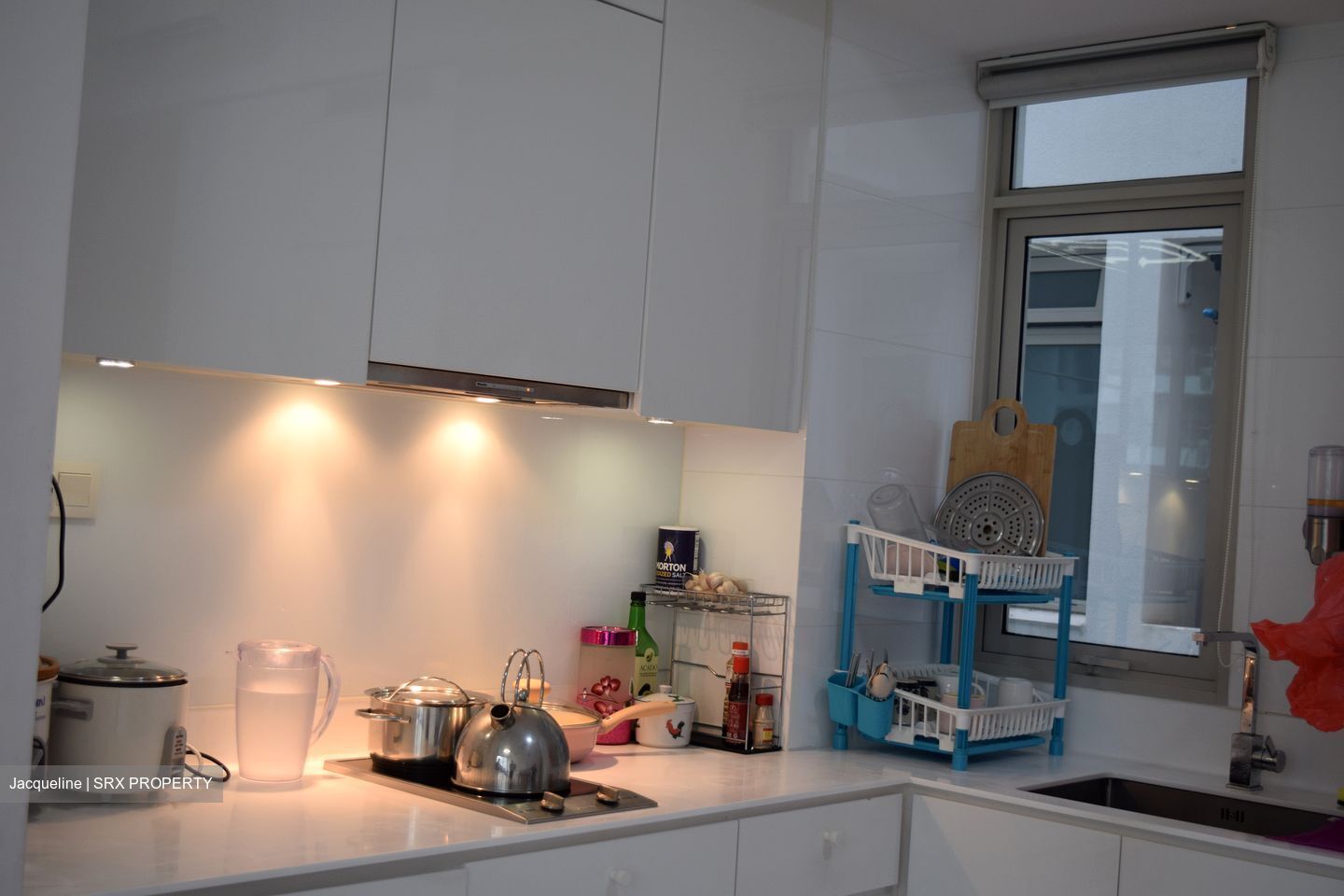 RV Residences (D10), Condominium - For Rent