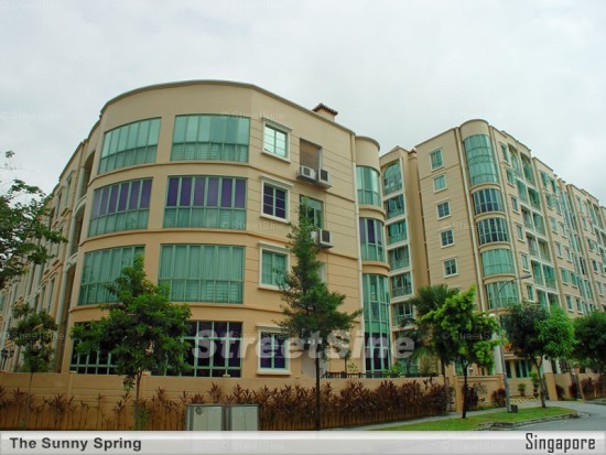 The Sunny Spring (D14), Apartment - For Rent