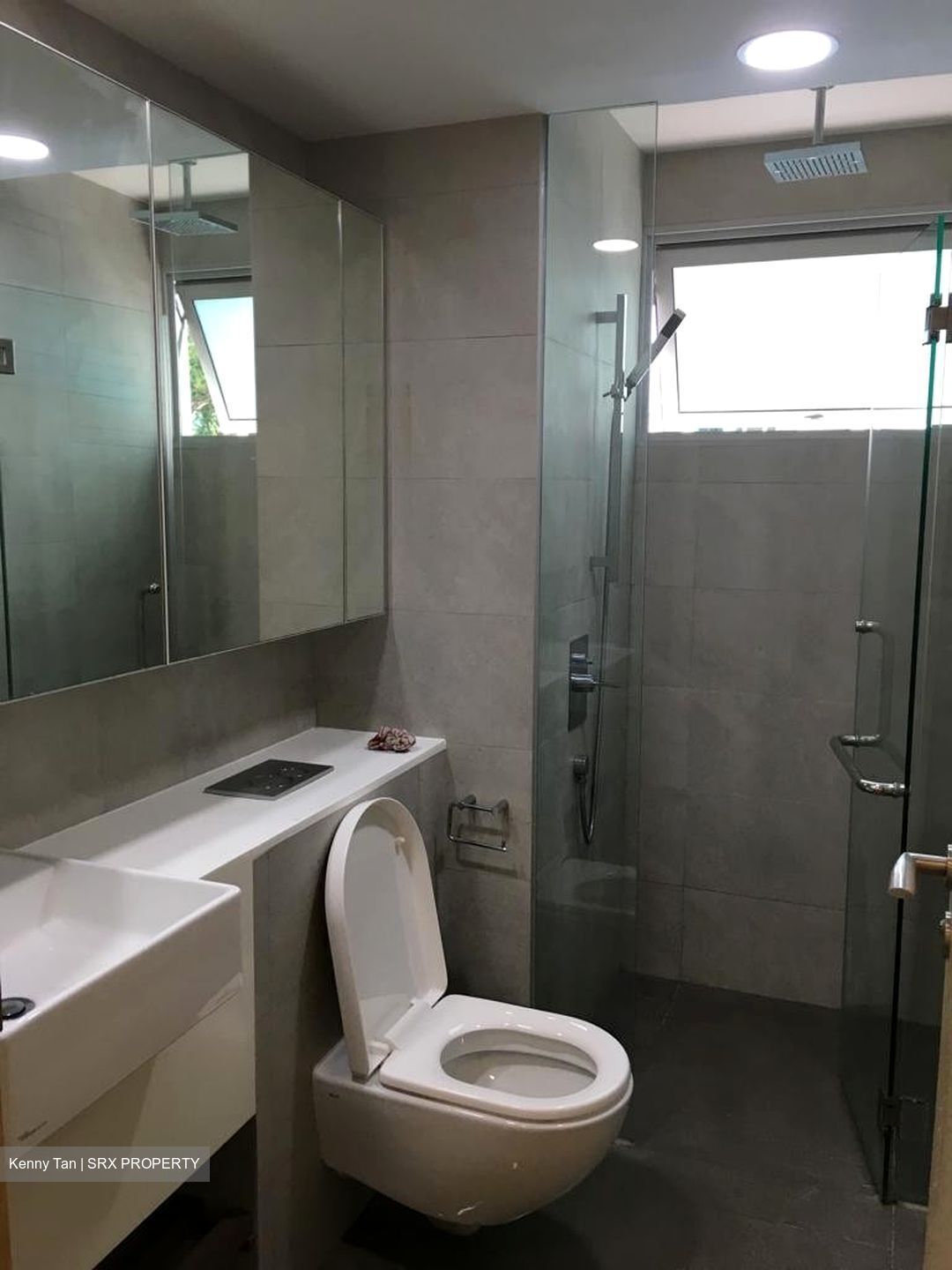 Eight Riversuites (D12), Condominium - For Rent