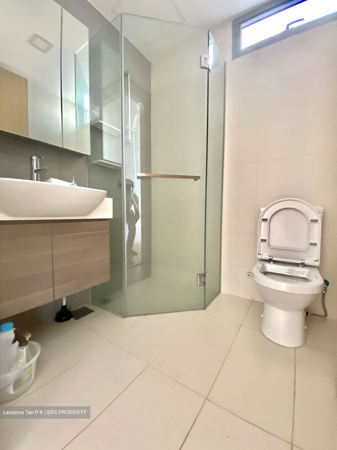 Skies Miltonia (D27), Condominium - For Rent