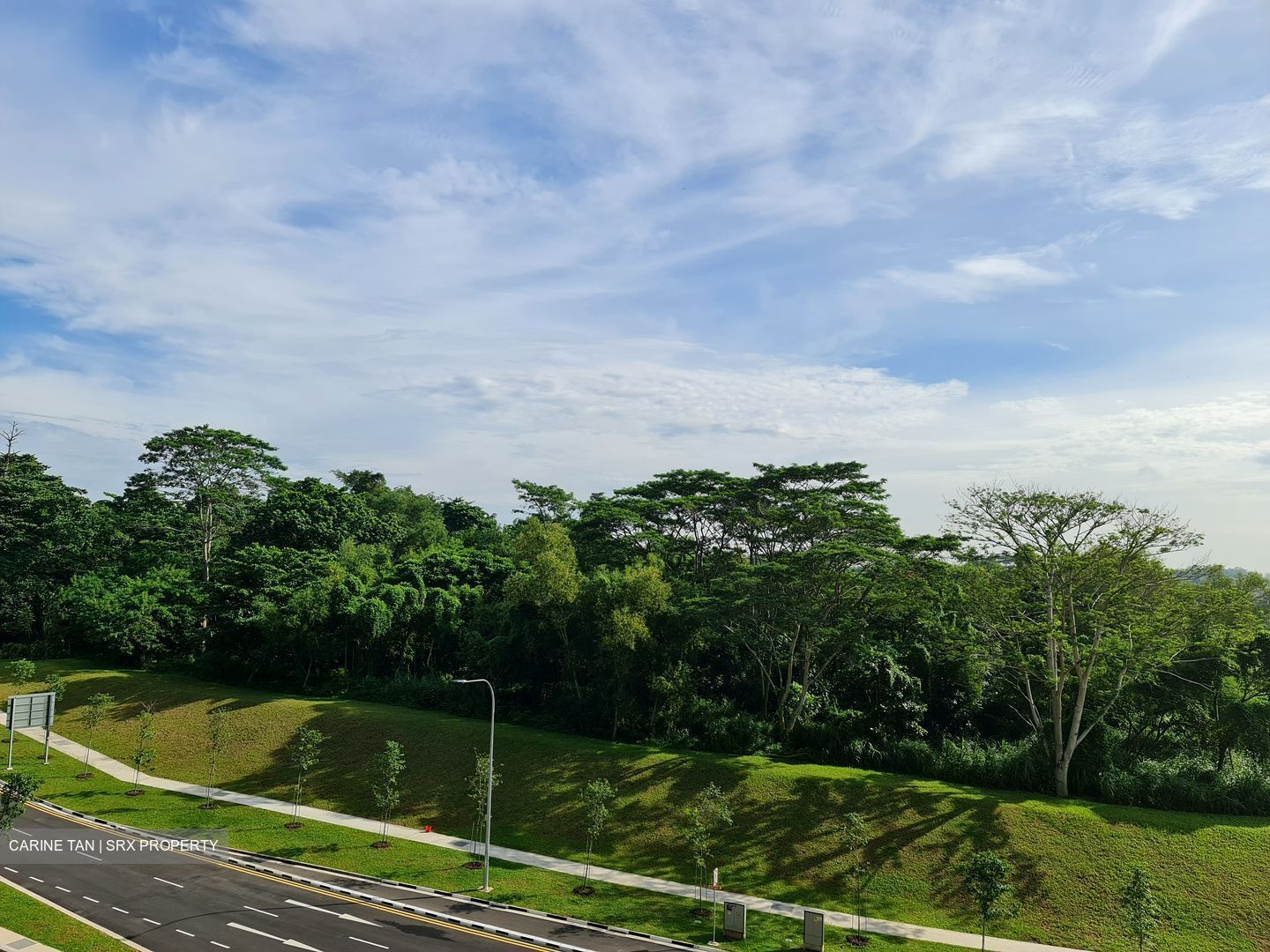 Parc Botannia (D28), Condominium - For Rent