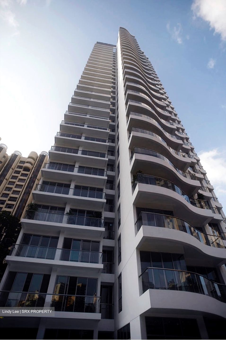 Leonie Hill Residences (D9), Apartment - For Rent