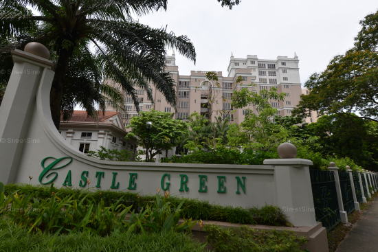 Castle Green (D26), Condominium - For Rent