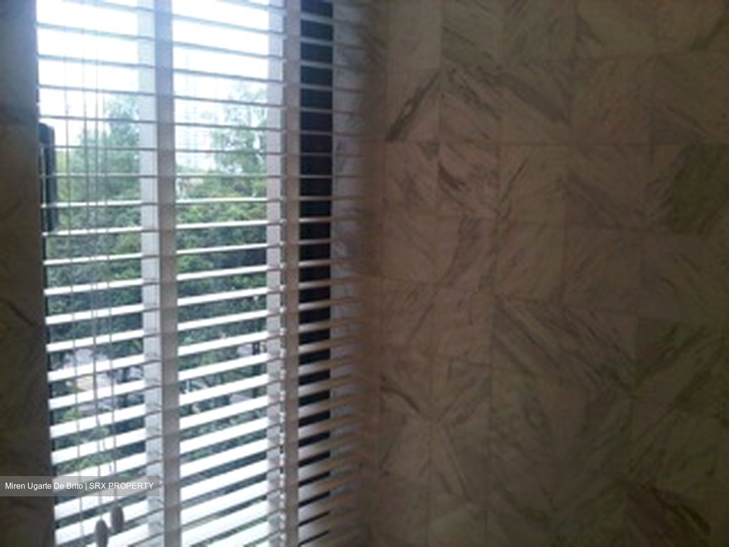 The Colonnade (D10), Condominium - For Rent