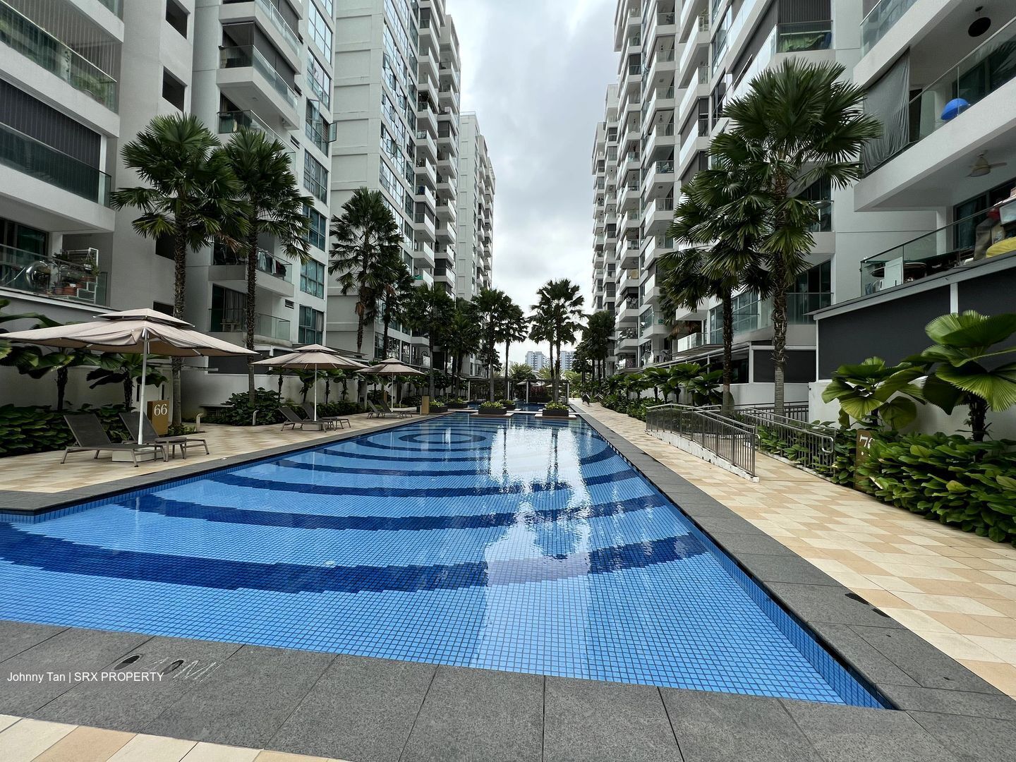 A Treasure Trove (D19), Condominium - For Rent