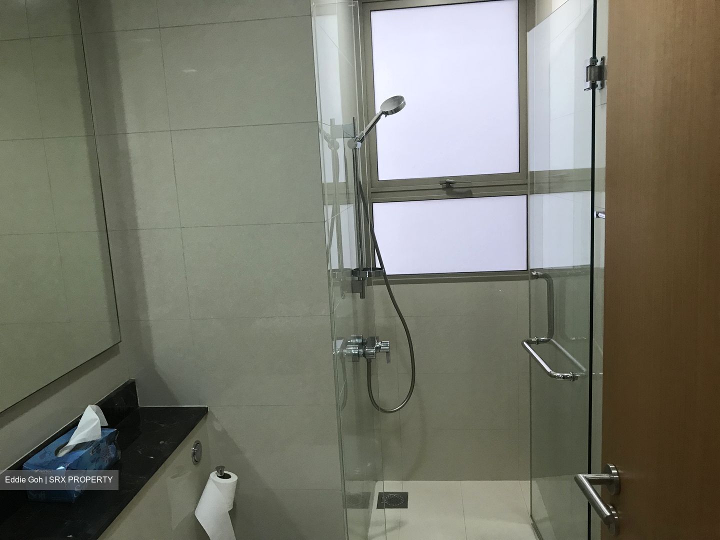The Peak@Balmeg (D5), Condominium - For Rent