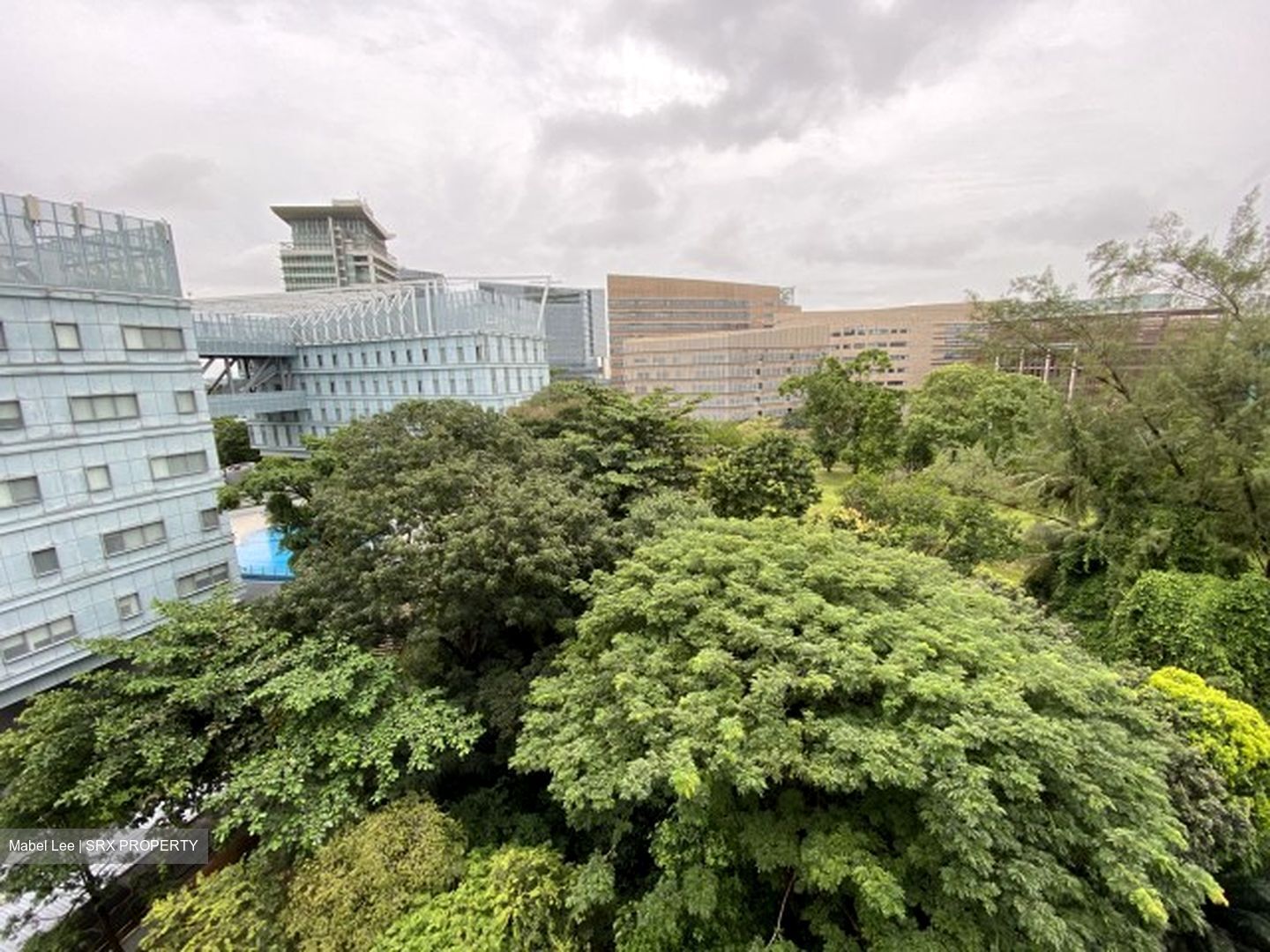 One-north Residences (D5), Apartment - For Rent