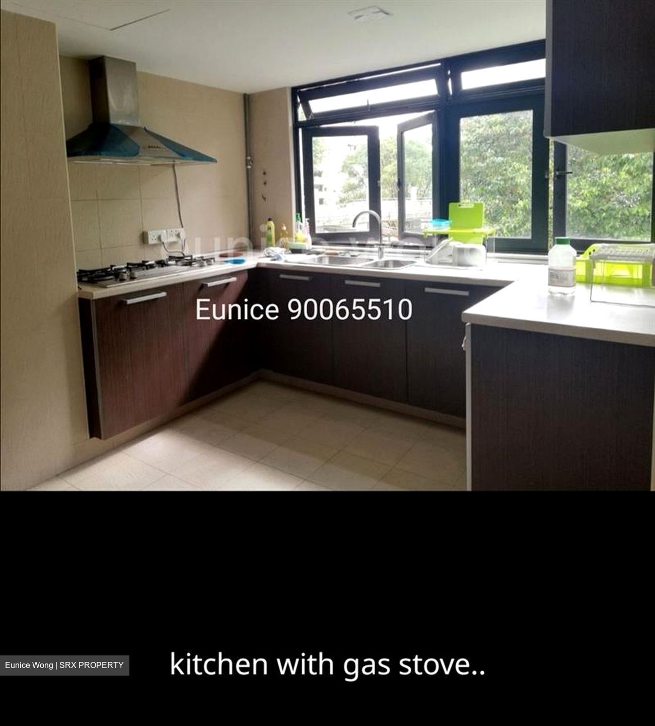 Pandan Valley (D21), Condominium - For Rent