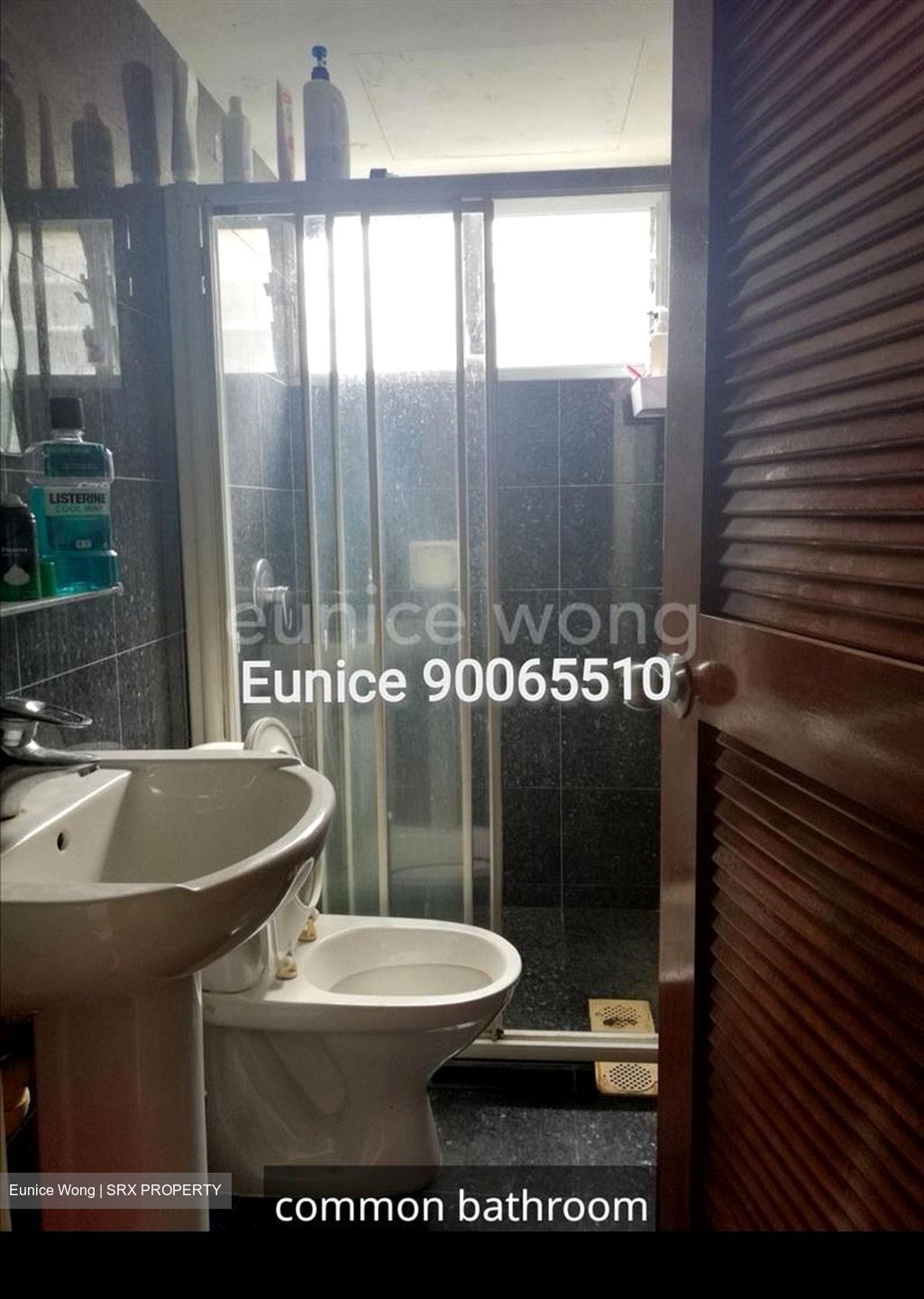 Pandan Valley (D21), Condominium - For Rent