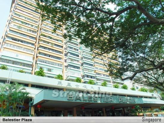 Balestier Plaza (D12), Apartment - For Rent
