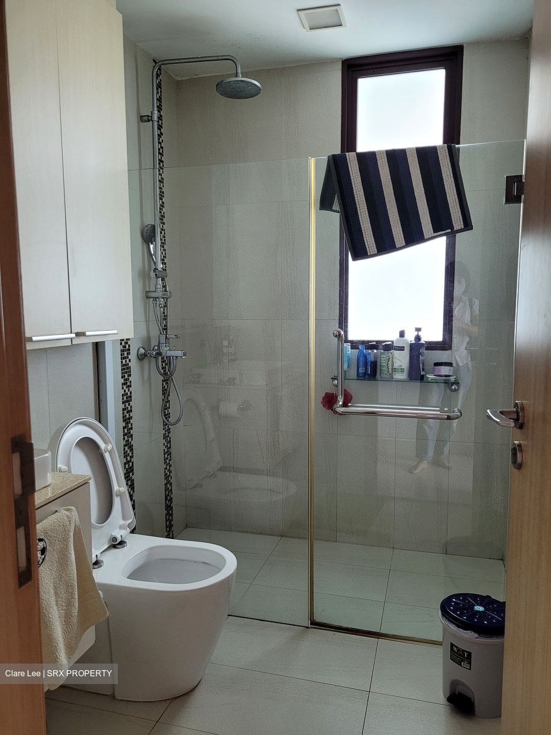 Varsity Park Condominium (D5), Condominium - For Rent