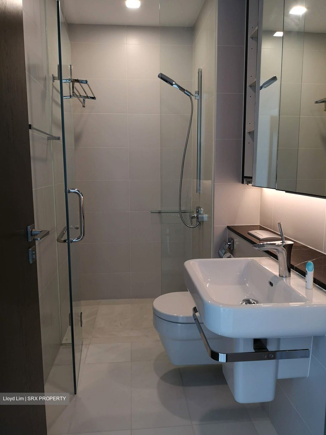 Nathan Suites (D10), Condominium - For Rent