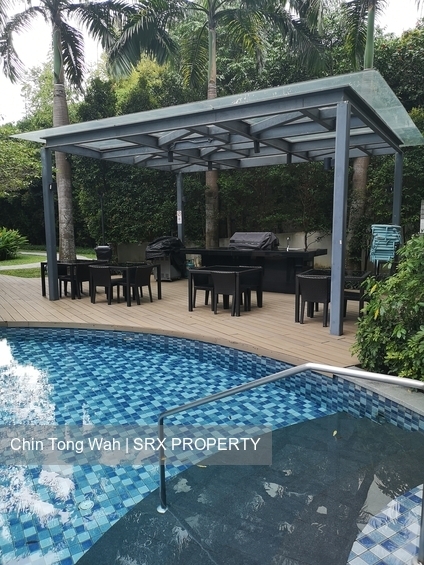 Hedges Park Condominium (D17), Condominium - For Rent