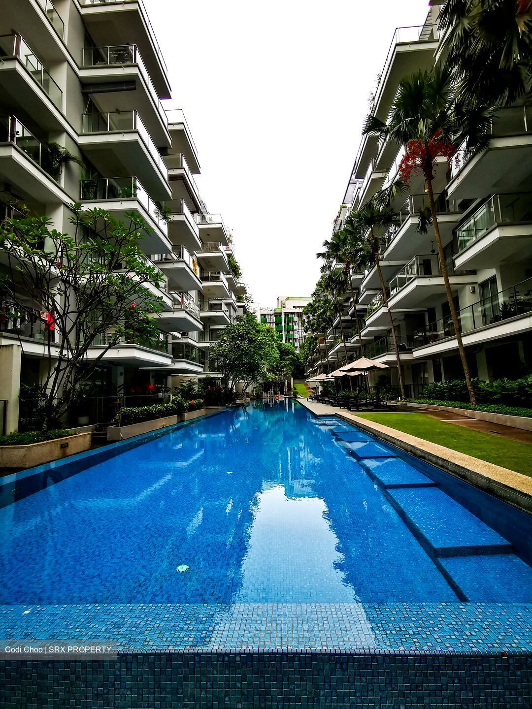 8 @ Mount Sophia (D9), Condominium - For Rent