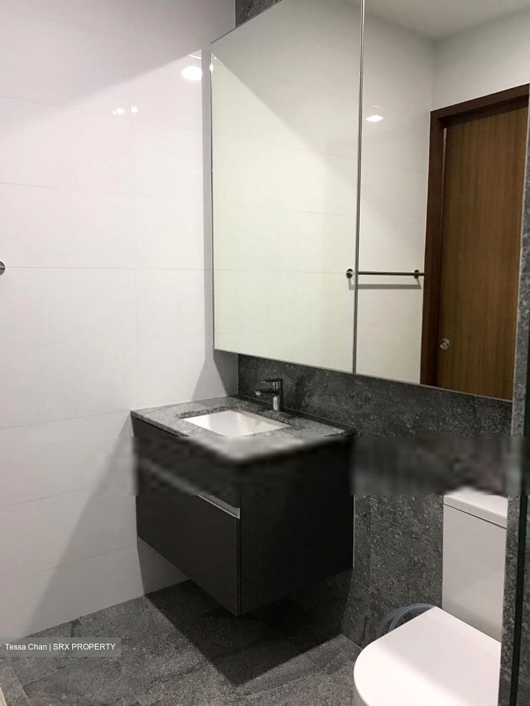 Eco Sanctuary (D23), Condominium - For Rent