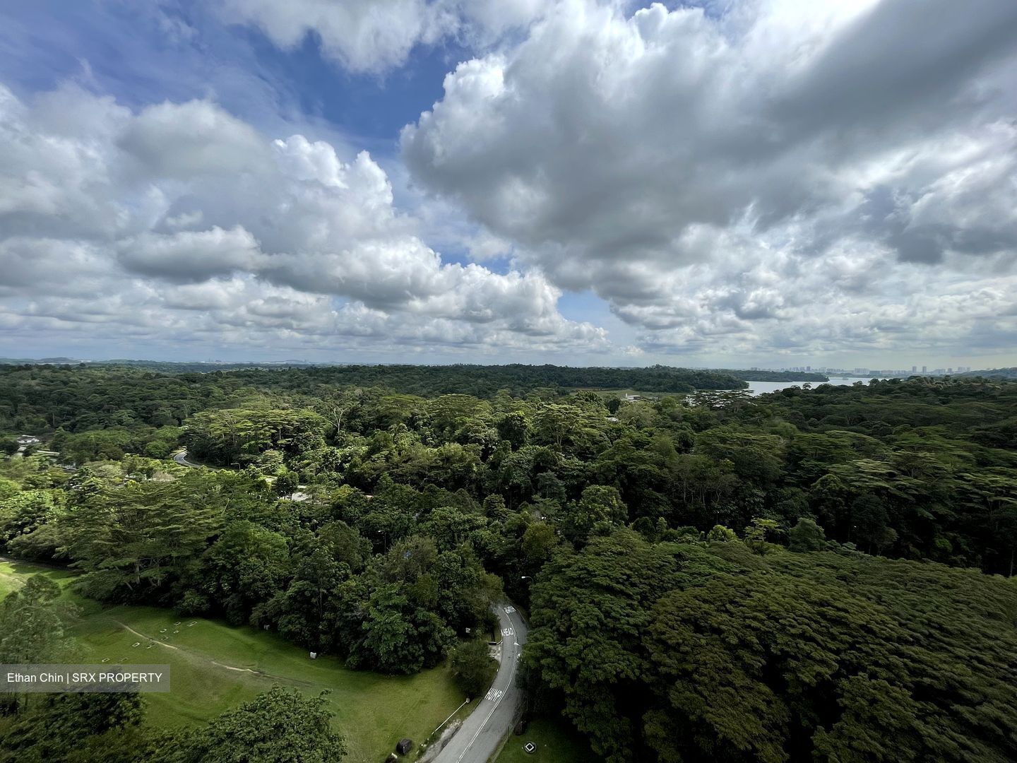 Tree House (D23), Condominium - For Rent