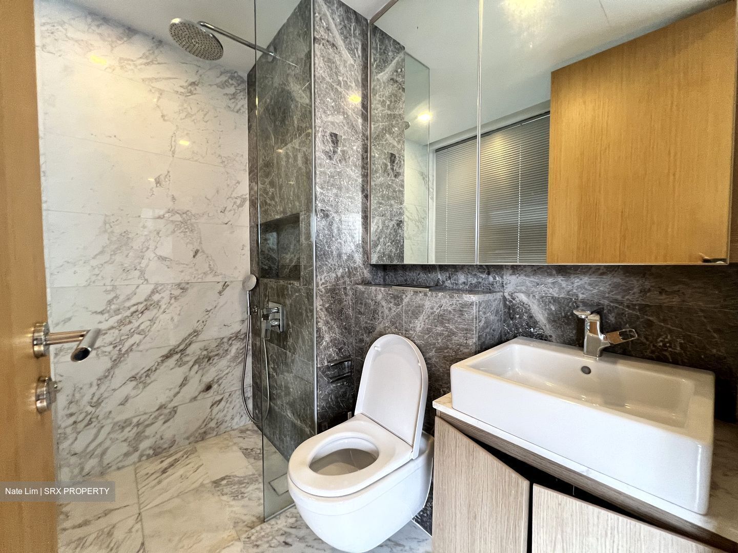 The Peak @ Cairnhill II (D9), Apartment - For Rent