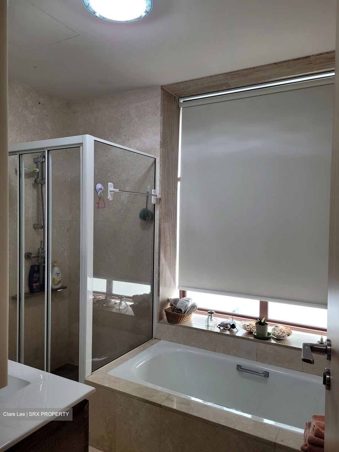 Varsity Park Condominium (D5), Condominium - For Rent