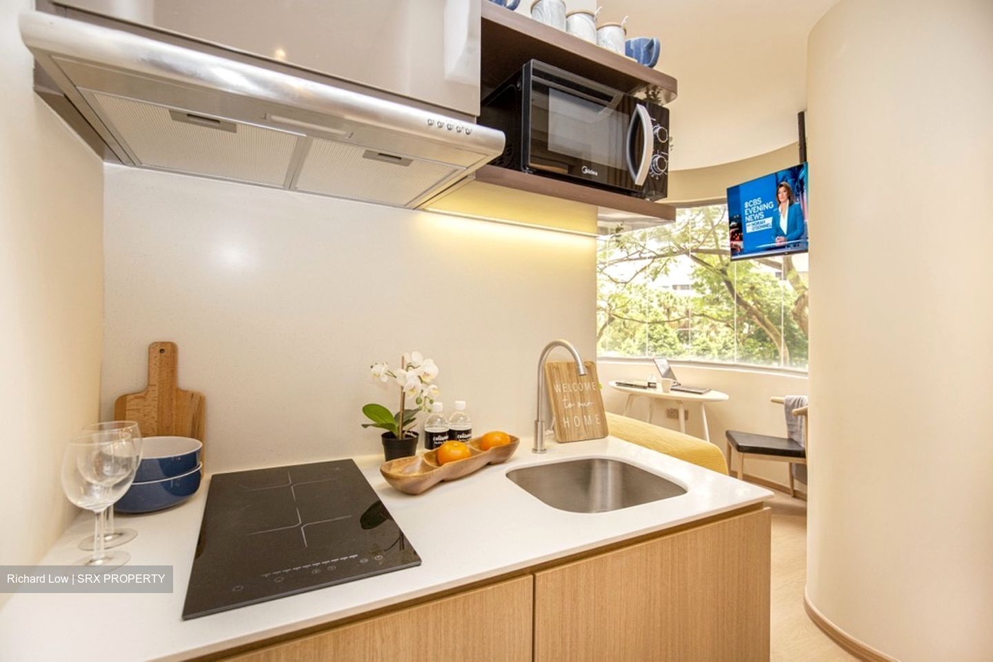Mount Elizabeth Link (D9), Condominium - For Rent
