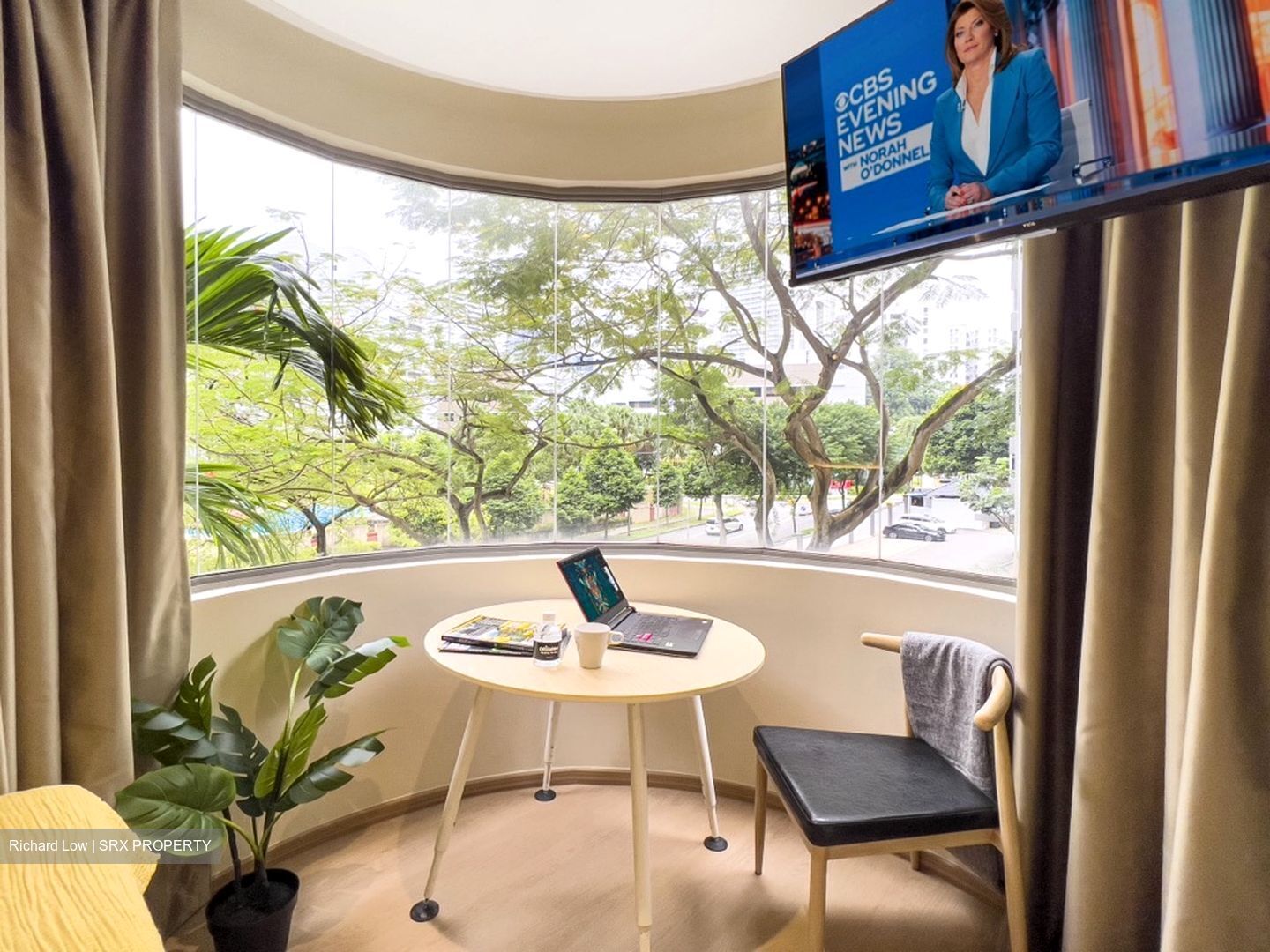 Mount Elizabeth Link (D9), Condominium - For Rent