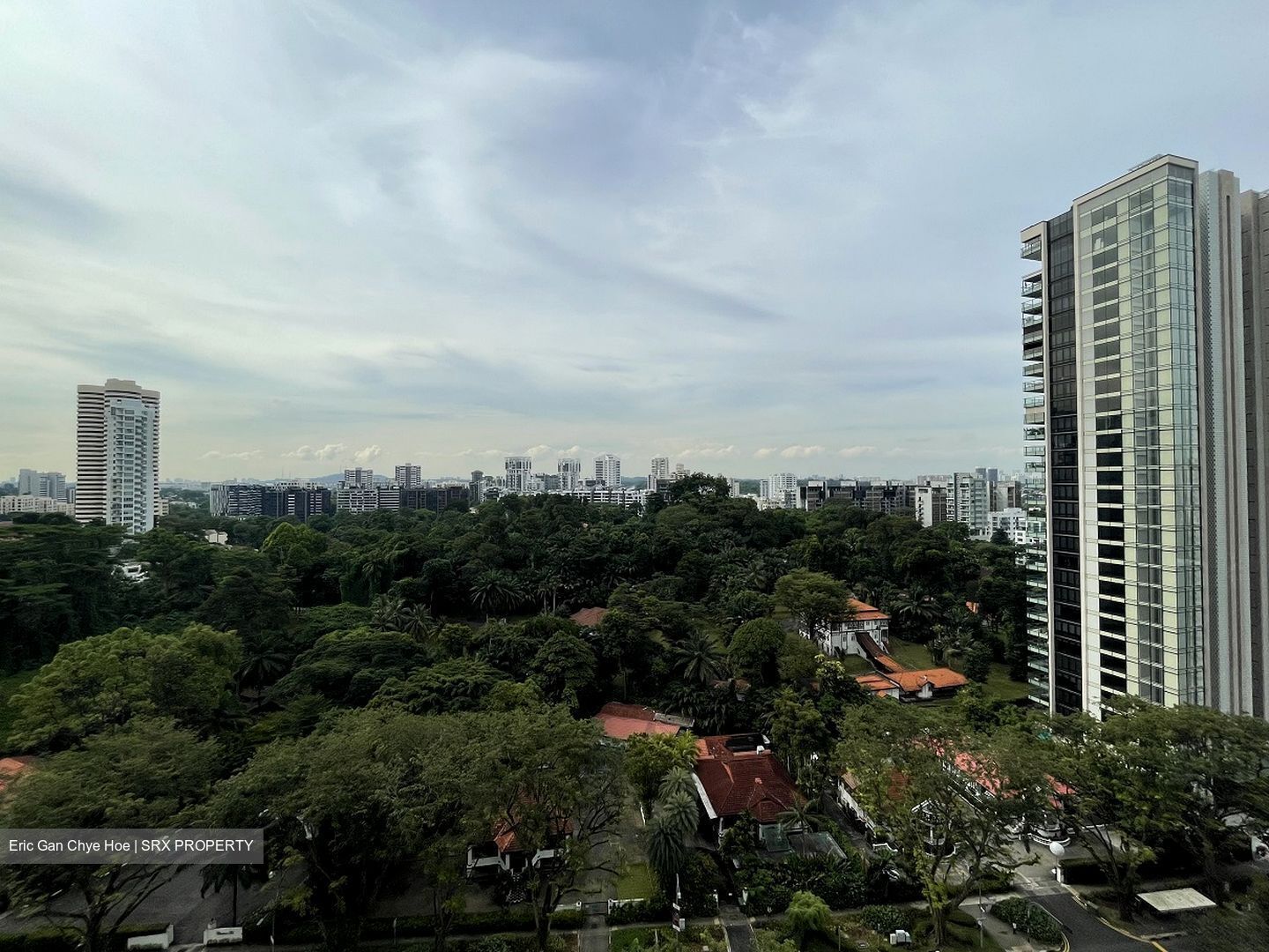 The Scotts Tower (D9), Condominium - For Rent