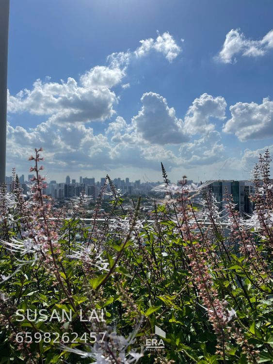 AMBER GARDENS AMBER PARK 出租