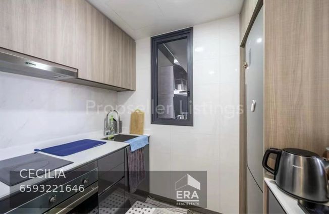 UPPER PAYA LEBAR ROAD BOTANIQUE AT BARTLEY 出租