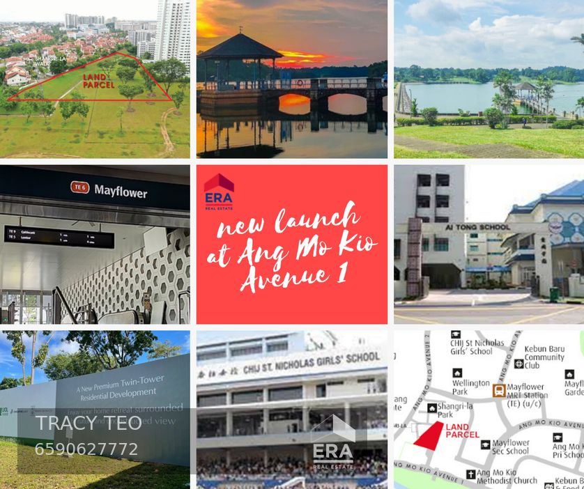 ANG MO KIO RISE AMO RESIDENCE 出售